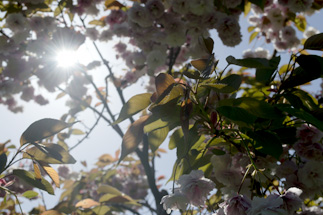 Under exposure
